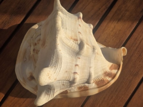 Antike große